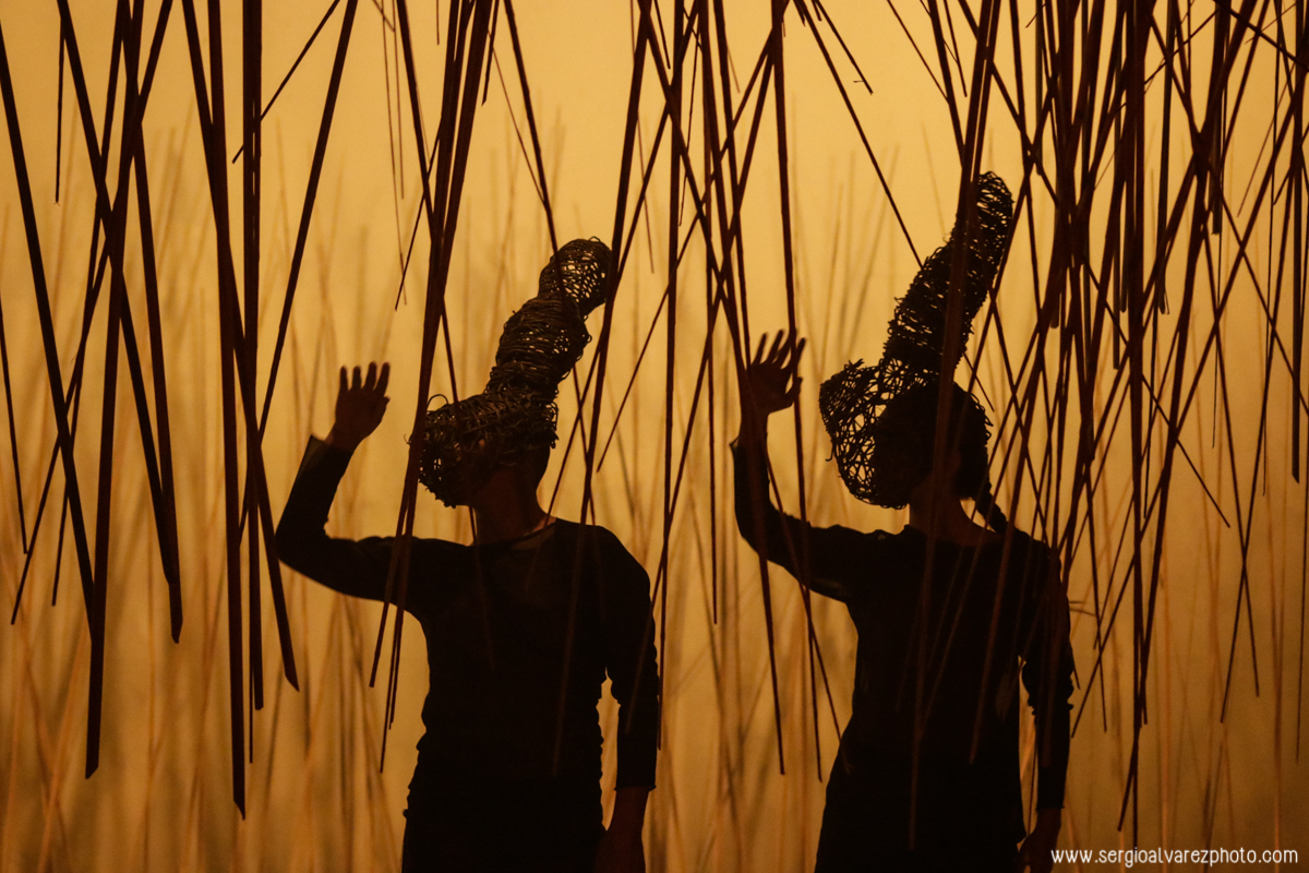 Temporada Teresa Danza Contemporánea 2018