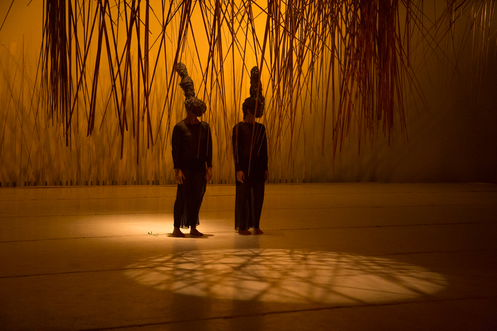 Temporada Teresa Danza Contemporánea 2018